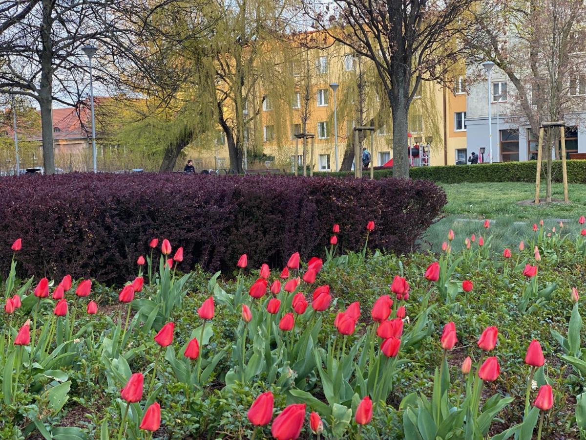 Mona Wrzeszcz Gdańsk Exterior foto